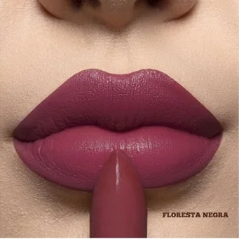Batom Soft Matte Choco Fun Fenzza